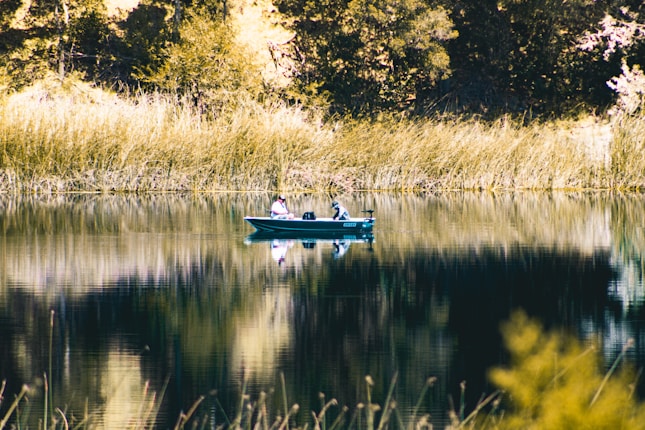 A tranquil lake setting with a small boat in the center, occupied by a person engaged in fishing. The water is calm, reflecting the surrounding greenery and tall grasses. The backdrop consists of dense foliage with hues of green and brown.