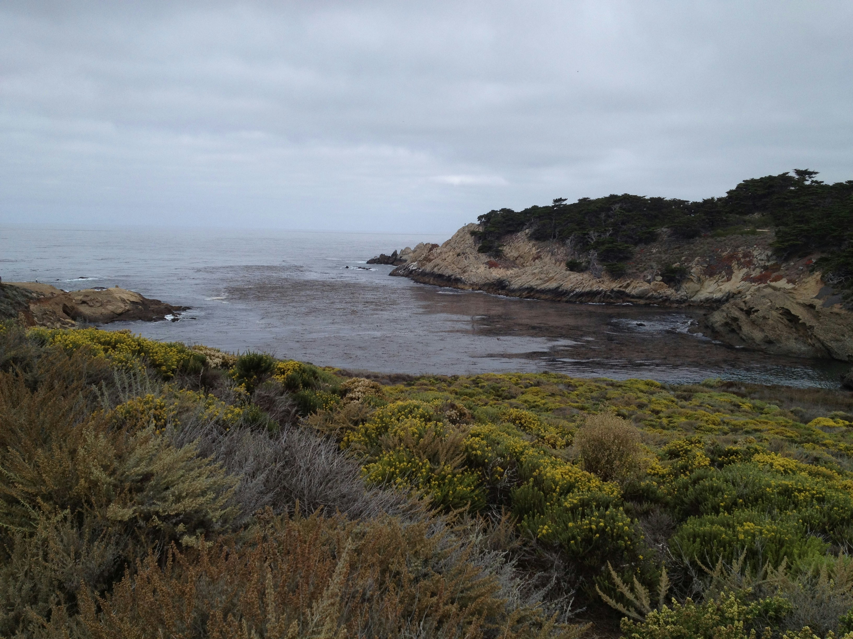 Photo by schuylerjohnston