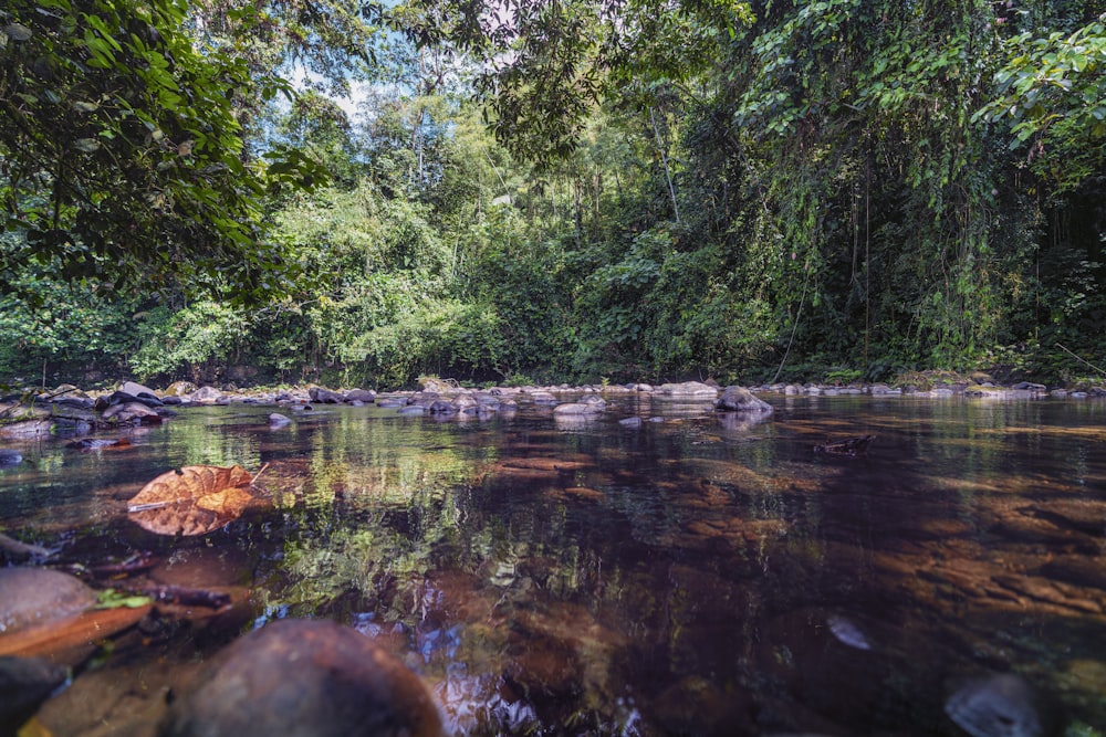 calm water