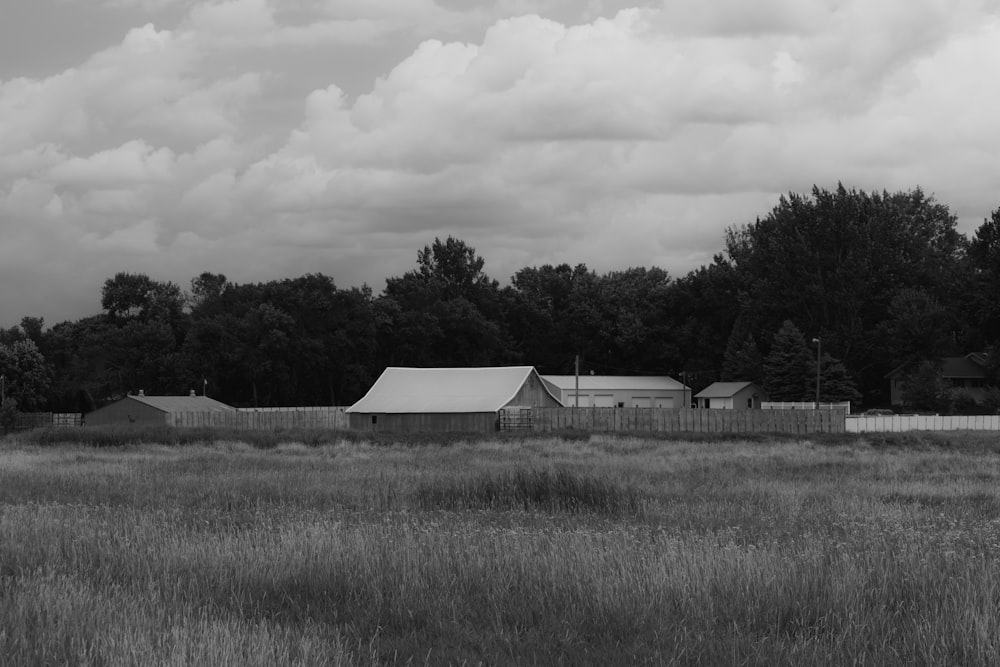 grayscale photography of house near field