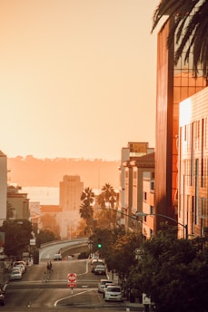 vehicles on road beside buildings during daytime