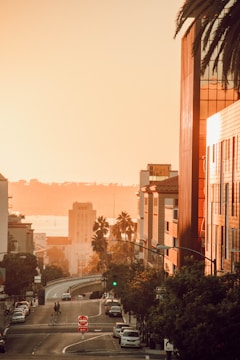 vehicles on road beside buildings during daytime