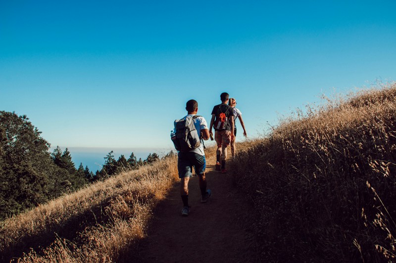 Mission Peak Regional Preserve