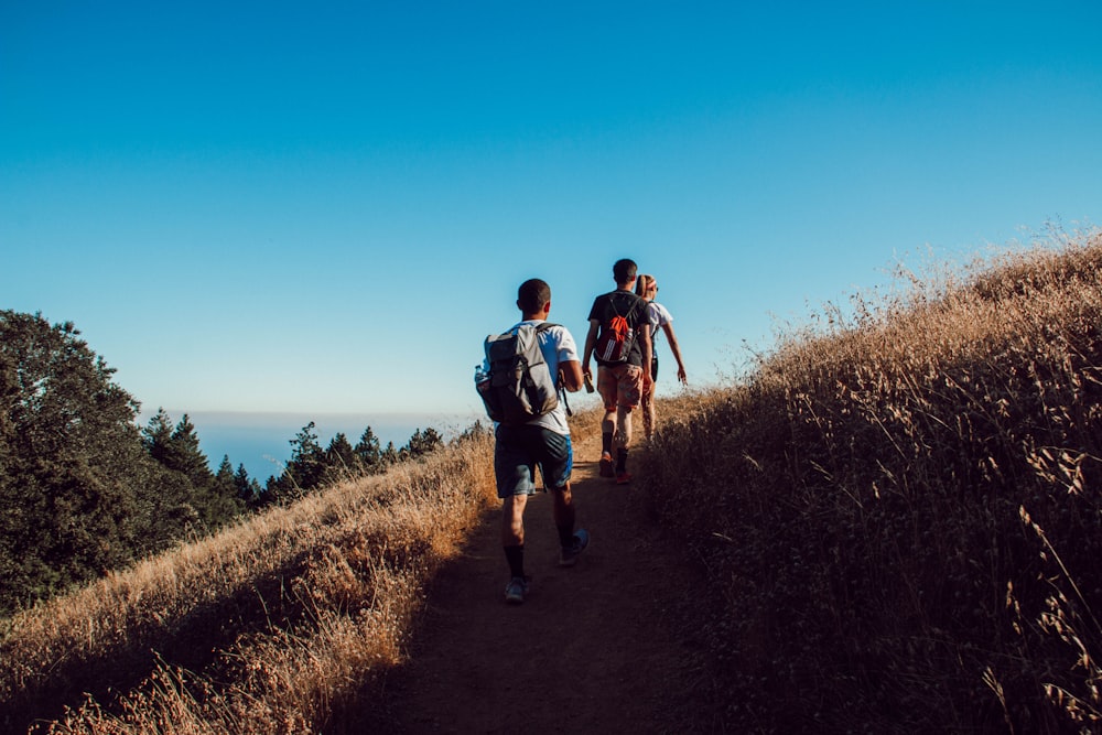 three person hiking on mountain