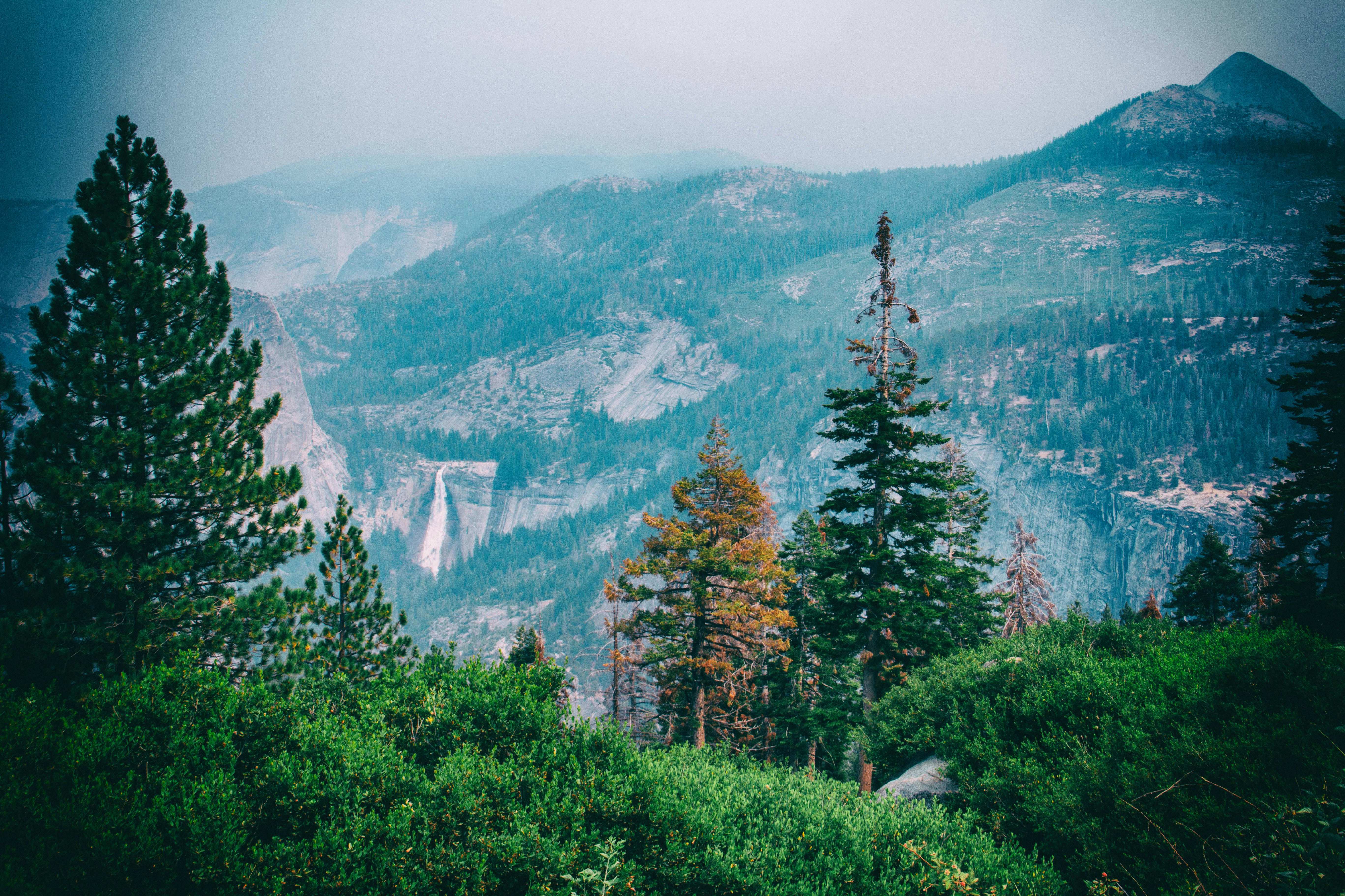 trees and mountains at the distance yosemite teams background