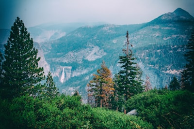 trees and mountains at the distance yosemite google meet background