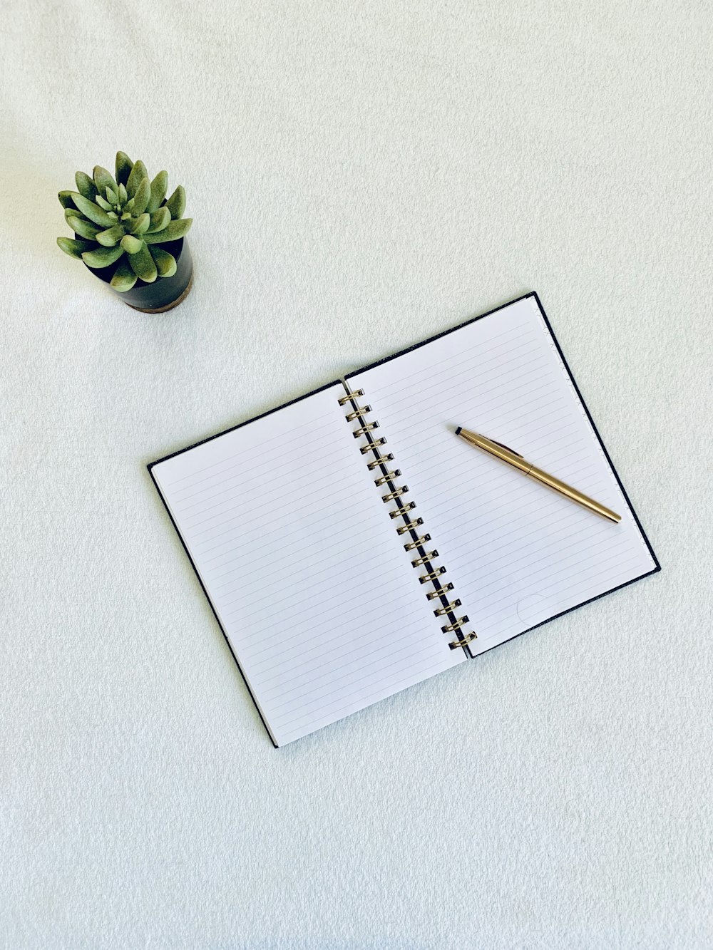 flat-lay photography of a pen on top of a notebook