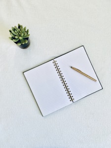 An open spiral-bound notebook with lined pages lies on a white surface, accompanied by a gold pen resting on the right page. A small potted succulent plant is positioned to the upper left of the notebook, adding a touch of greenery to the scene.