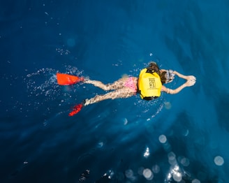 person snorkling in the sea
