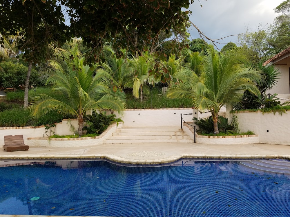 green palm trees near blue swimming pool