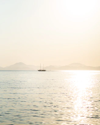 boat at the sea during day
