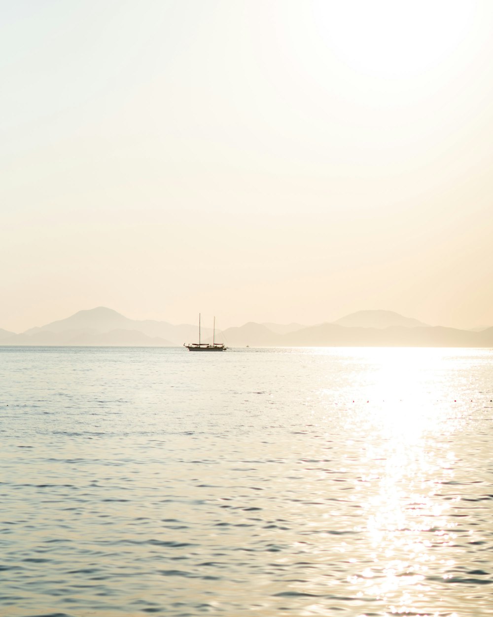 boat at the sea during day