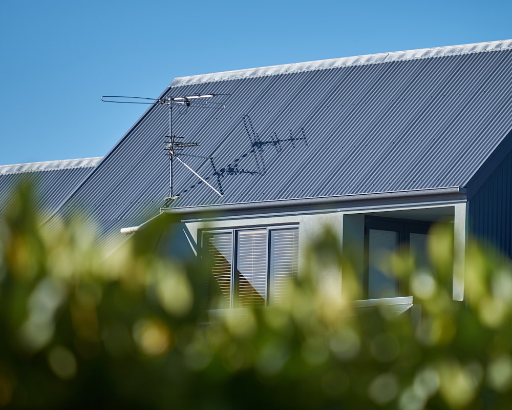 white and gray house near plants