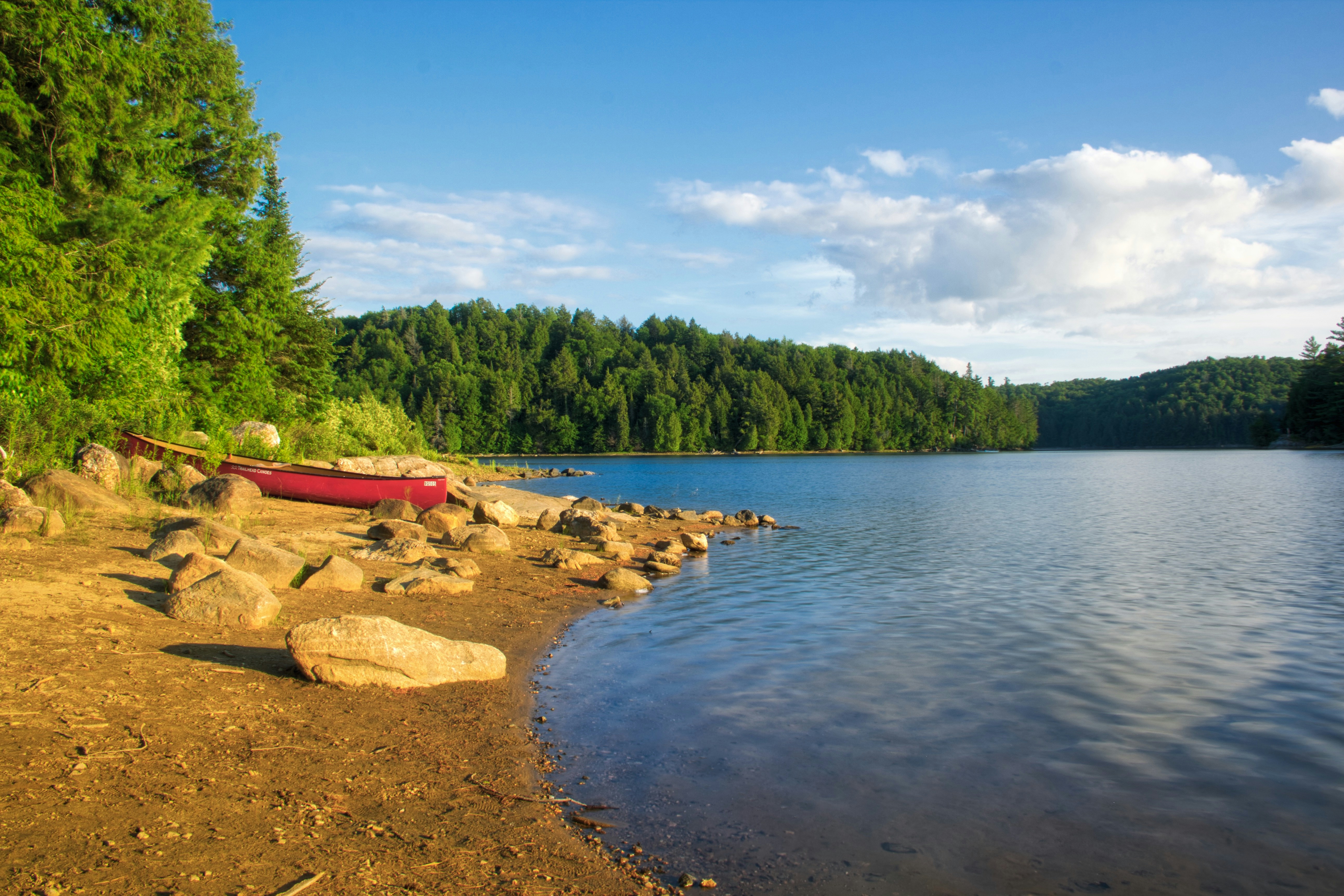 The Strategic Bitcoin Reserve: A New Global Financial Era?