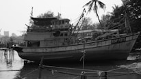 A large, rustic fishing boat is docked on a calm shoreline. The boat has visible wear with ropes and equipment on board. Palm trees are in the background, and the scene appears tranquil. A small makeshift dock can be seen to the left, with blurred city buildings in the distance.