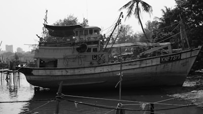 A large, rustic fishing boat is docked on a calm shoreline. The boat has visible wear with ropes and equipment on board. Palm trees are in the background, and the scene appears tranquil. A small makeshift dock can be seen to the left, with blurred city buildings in the distance.