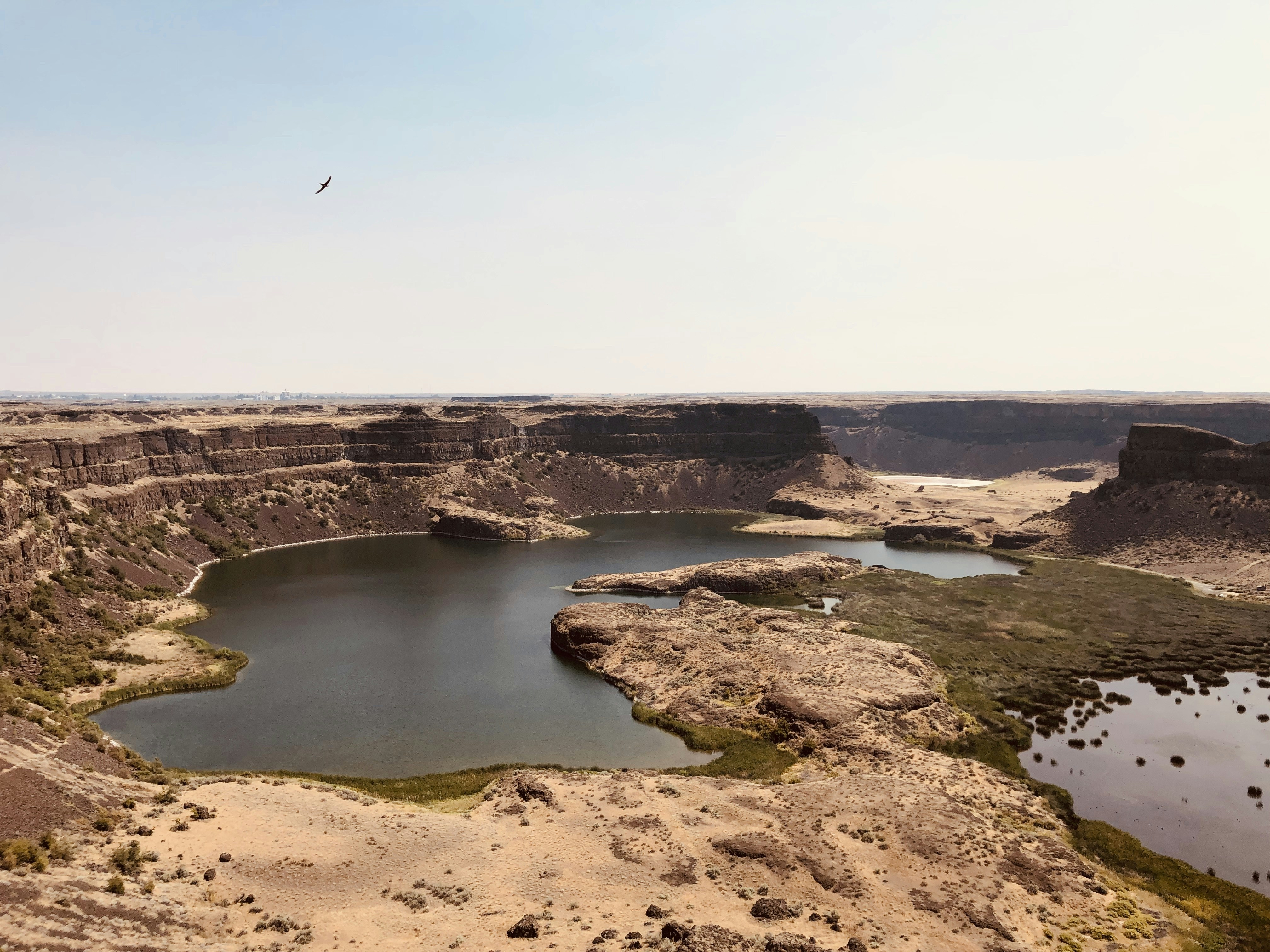 Photo by bradleysantos_