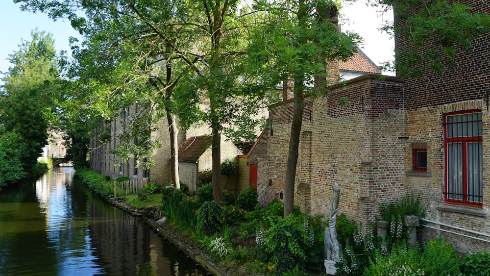 body of water near houses