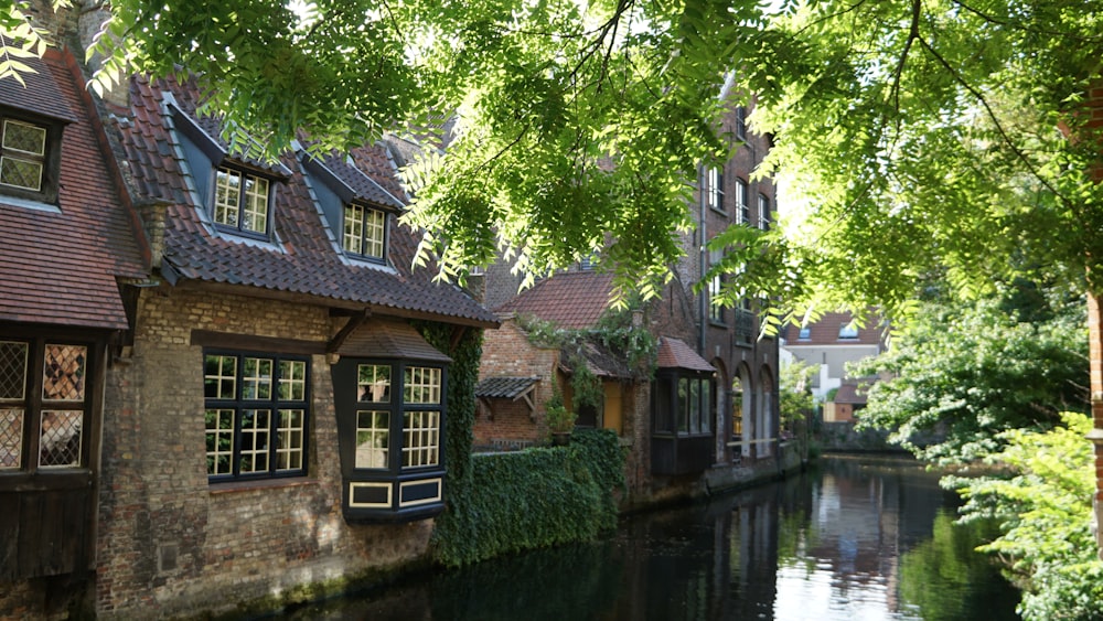 buildings beside body of water during day