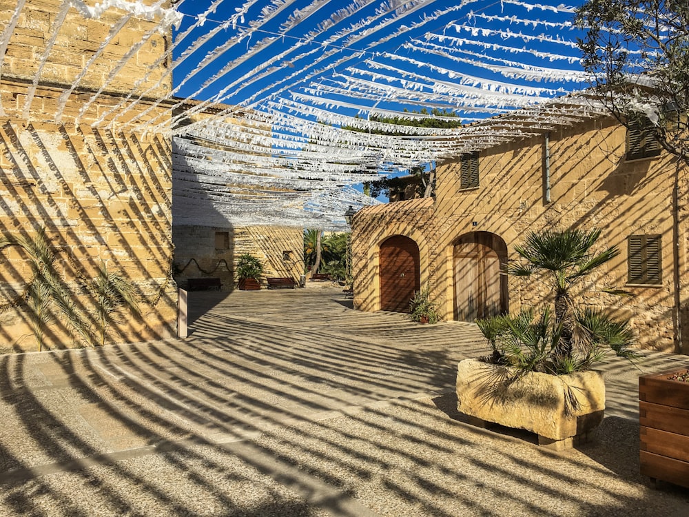 buntings hanging between concrete houses