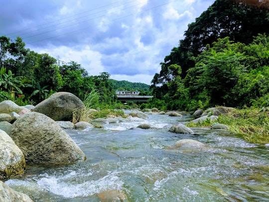 river near trees in Kangra By Pass India