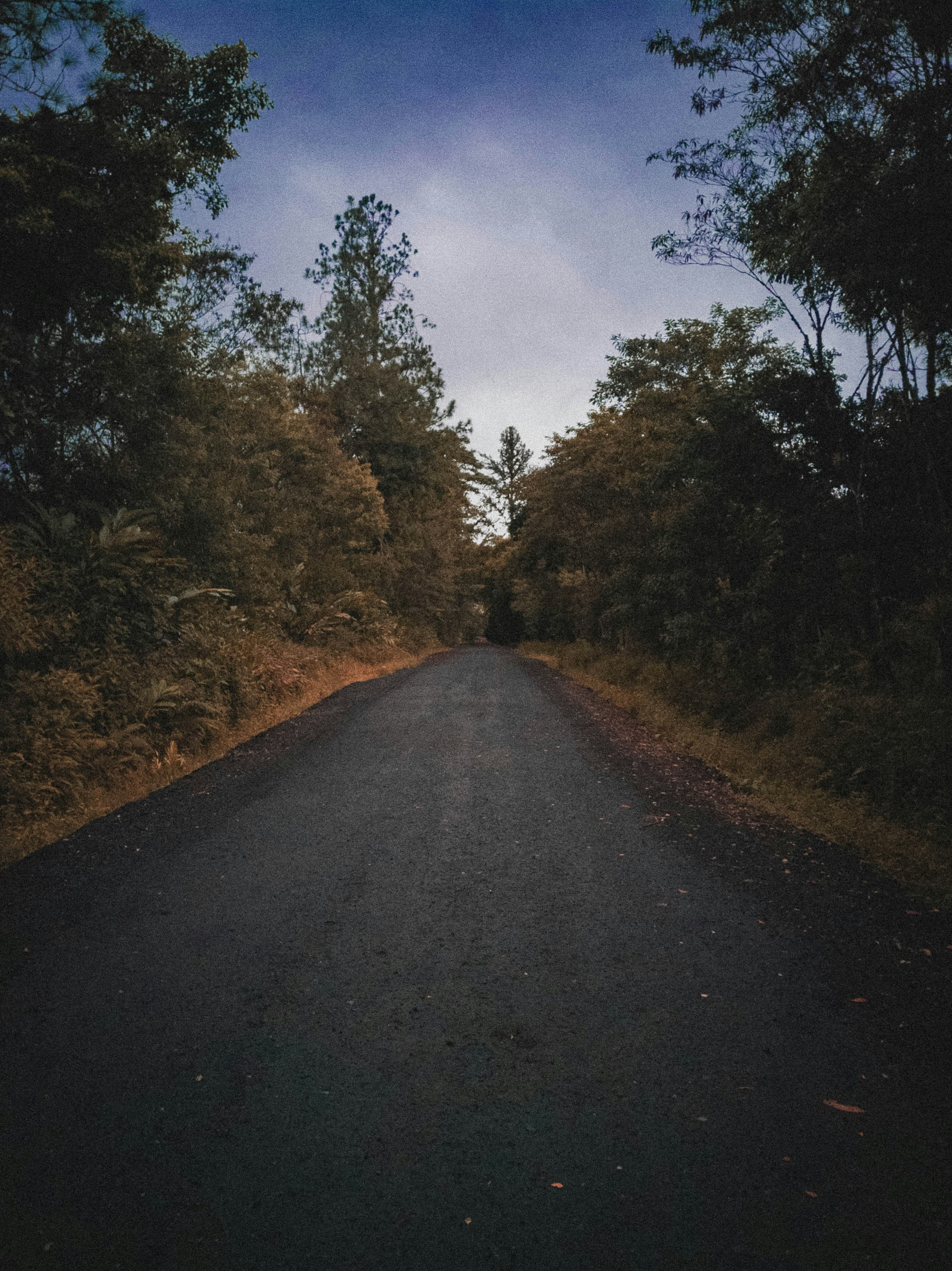 Photo by andres_acuna7