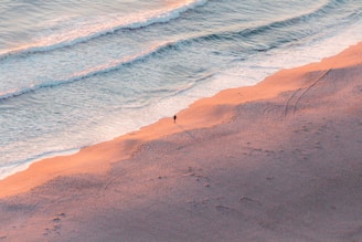 aerial view person standing on seashore