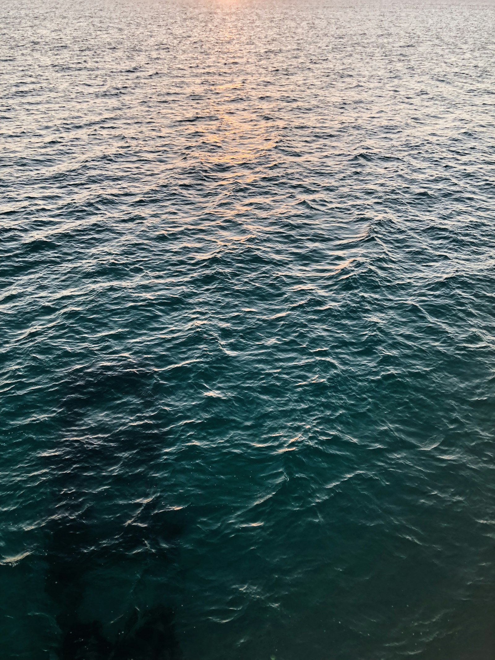 Apple iPhone 8 sample photo. Body of water during photography