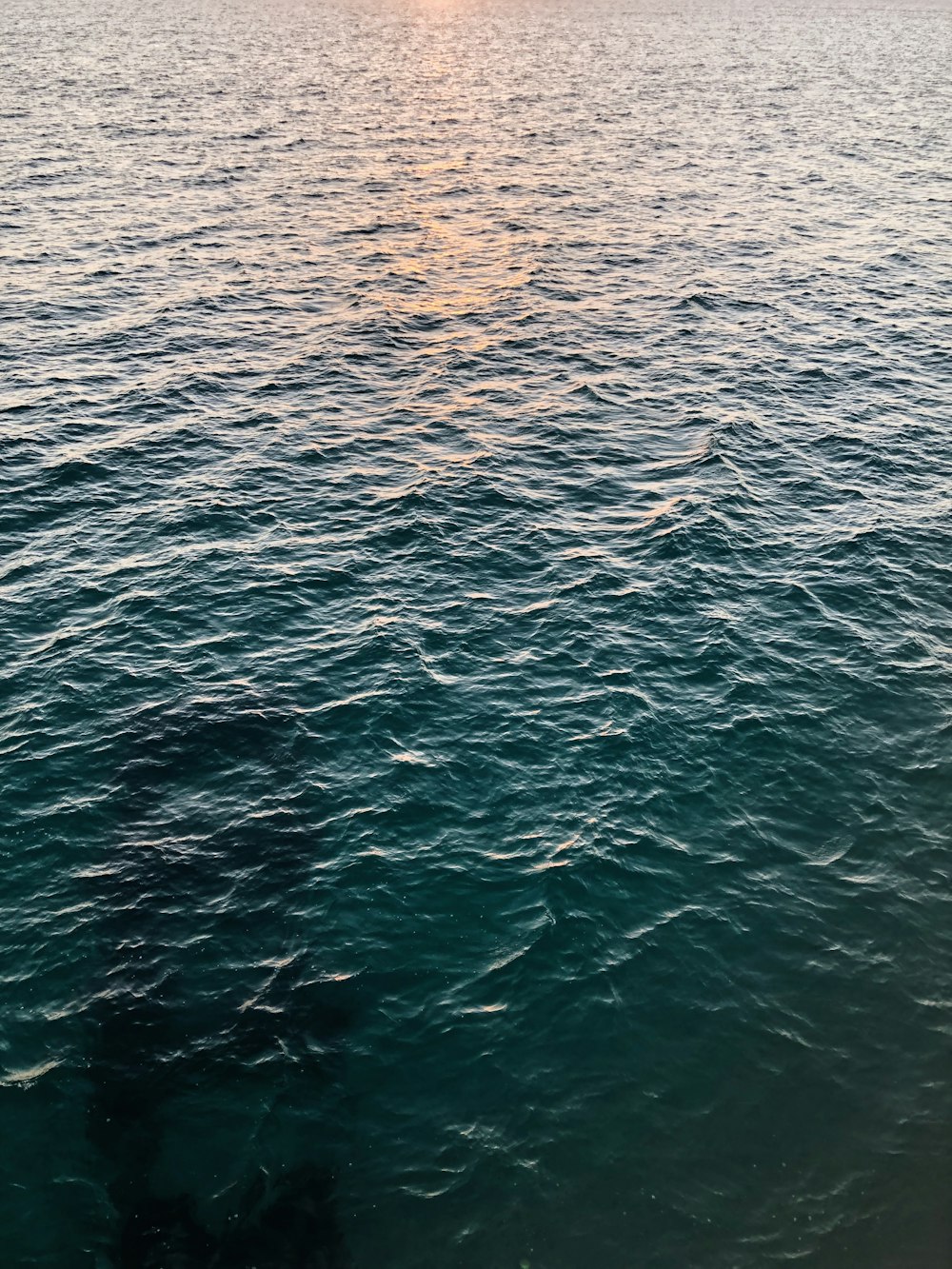 body of water during daytime