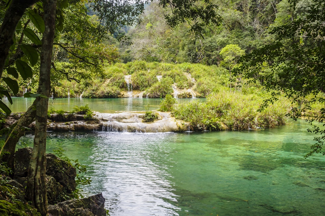 Unplug and Unwind: Keeping Your Vacation Tech-Free and Stress-Free… — Unplug and Unwind