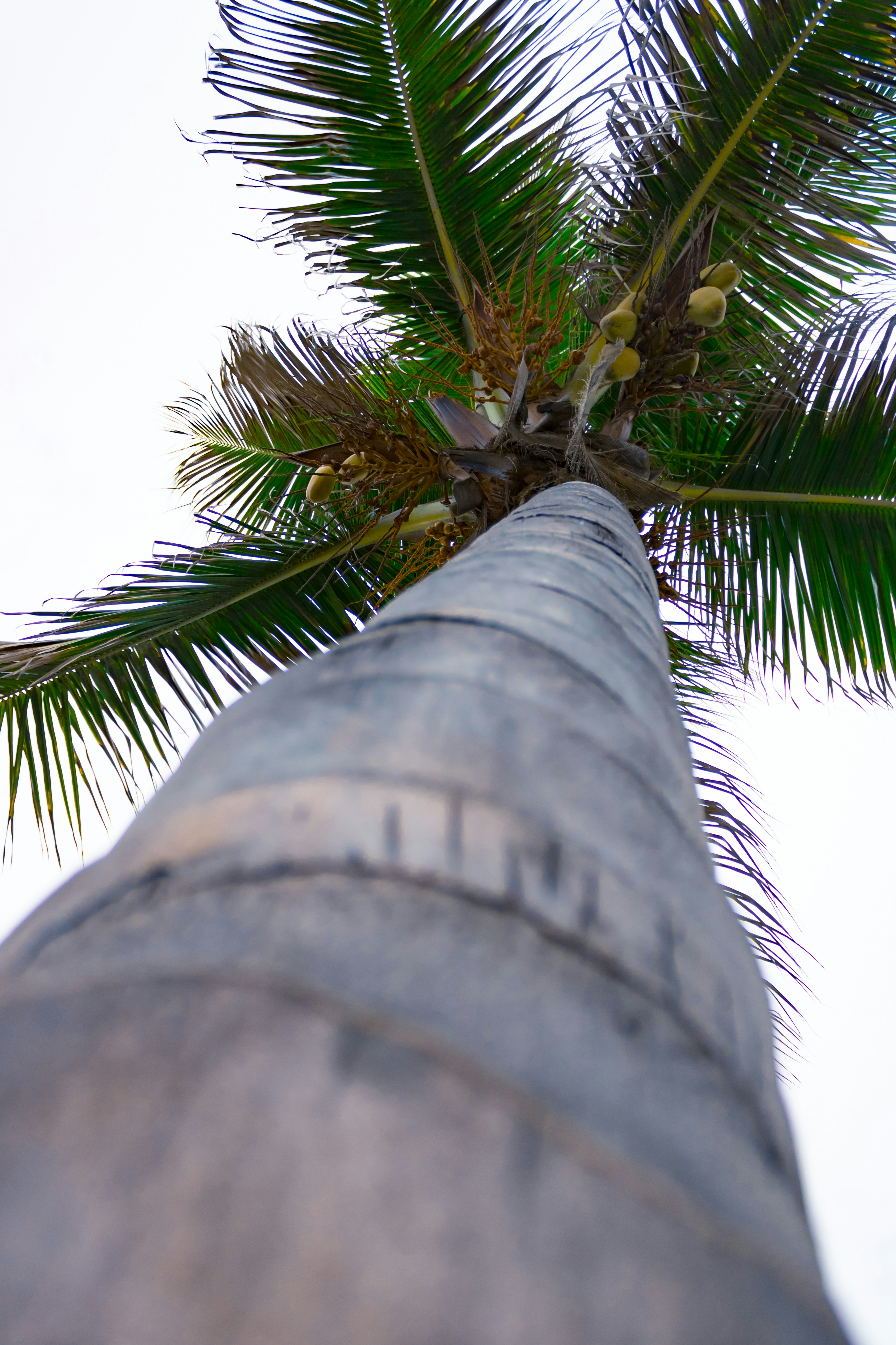 Unsplash photography