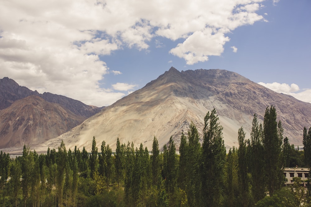 photography of mountain range during daytime