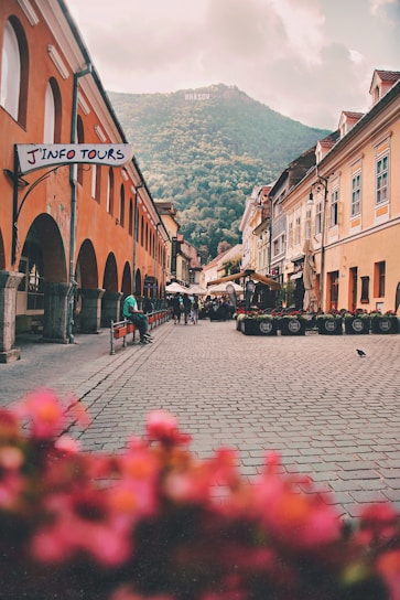 people sitting on street during daytime