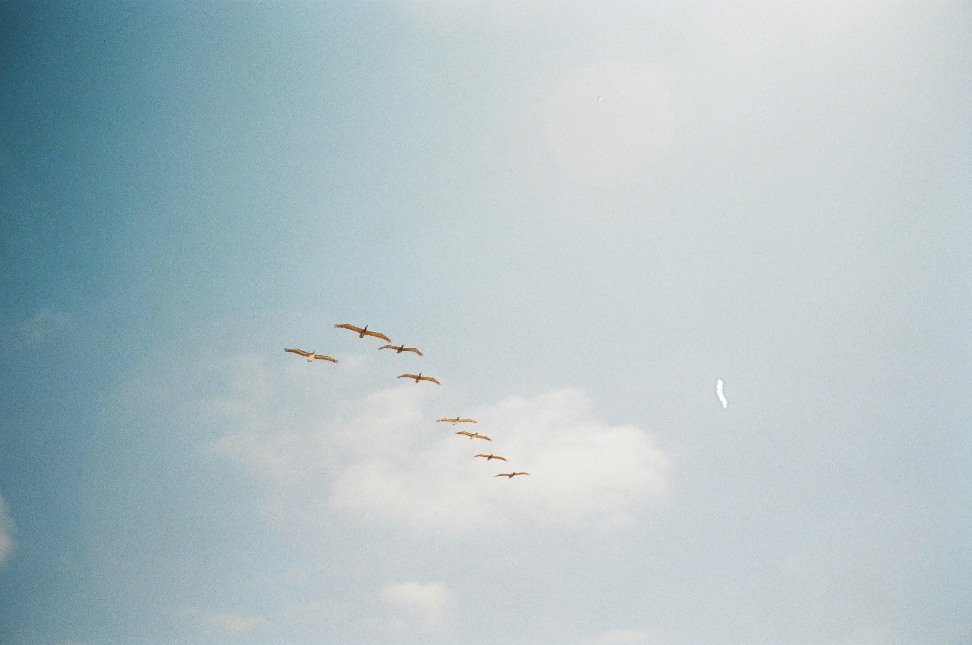 Photo by titi_wanderer