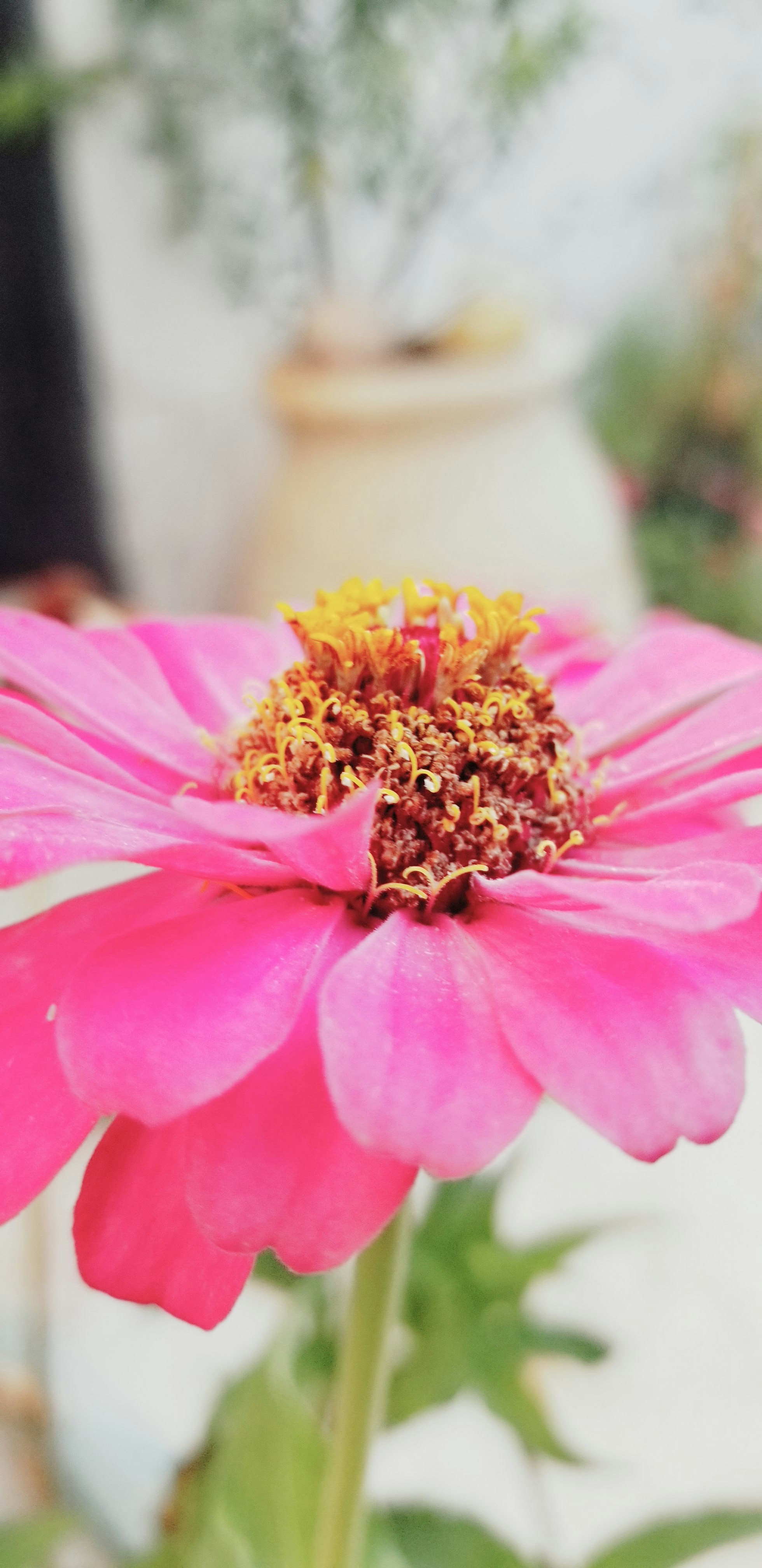 Photo by alaaamer