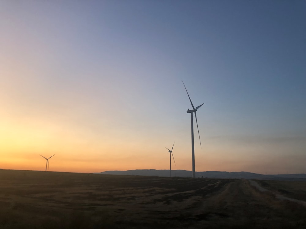 three wind turbines during golden hour
