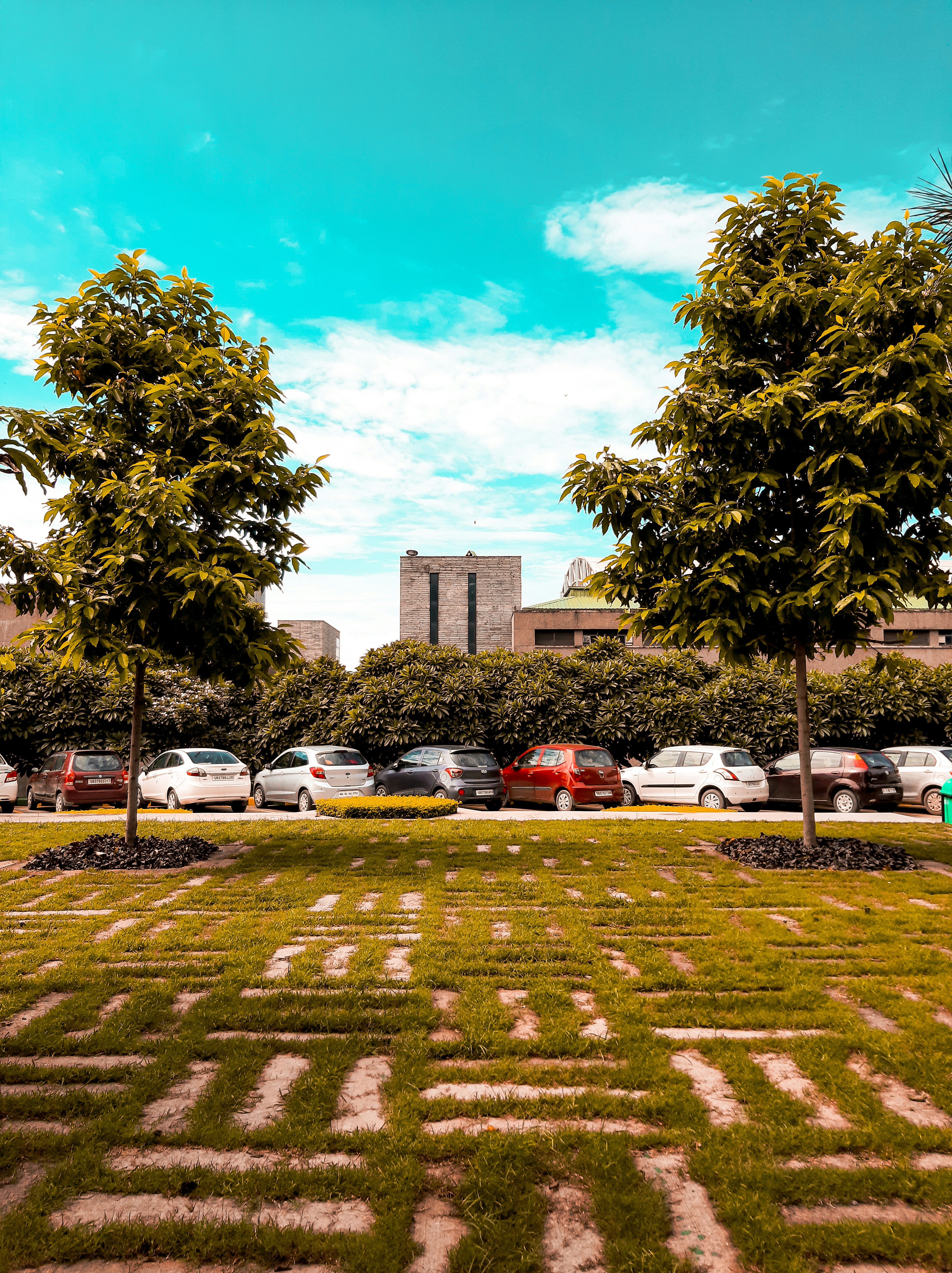 geparkte Autos