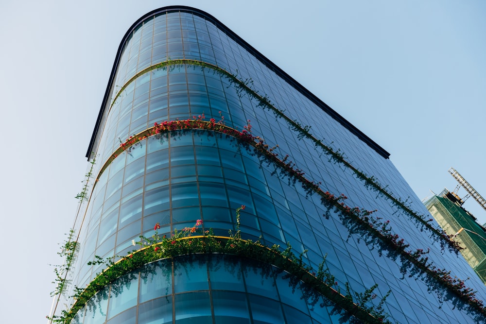 photo of blue glass building