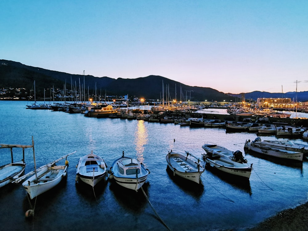 canoes near dock