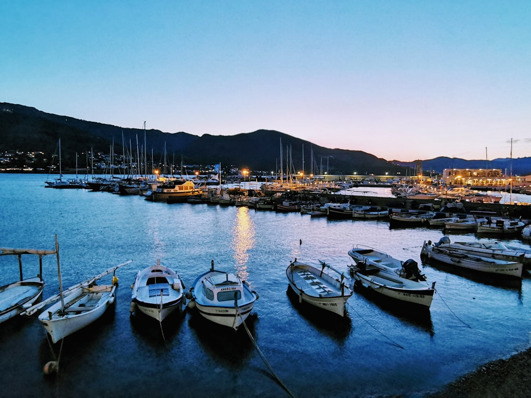 canoes near dock,