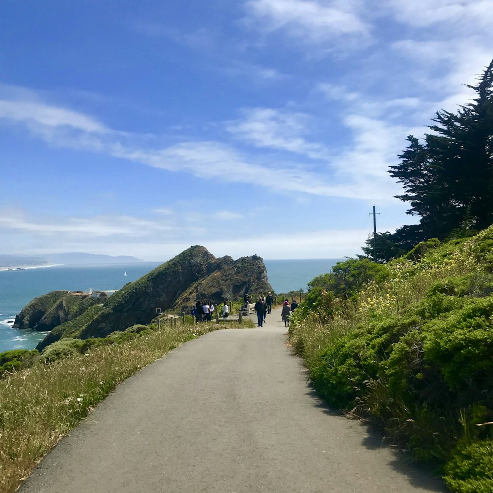 people walking on road beside seashore during daytime