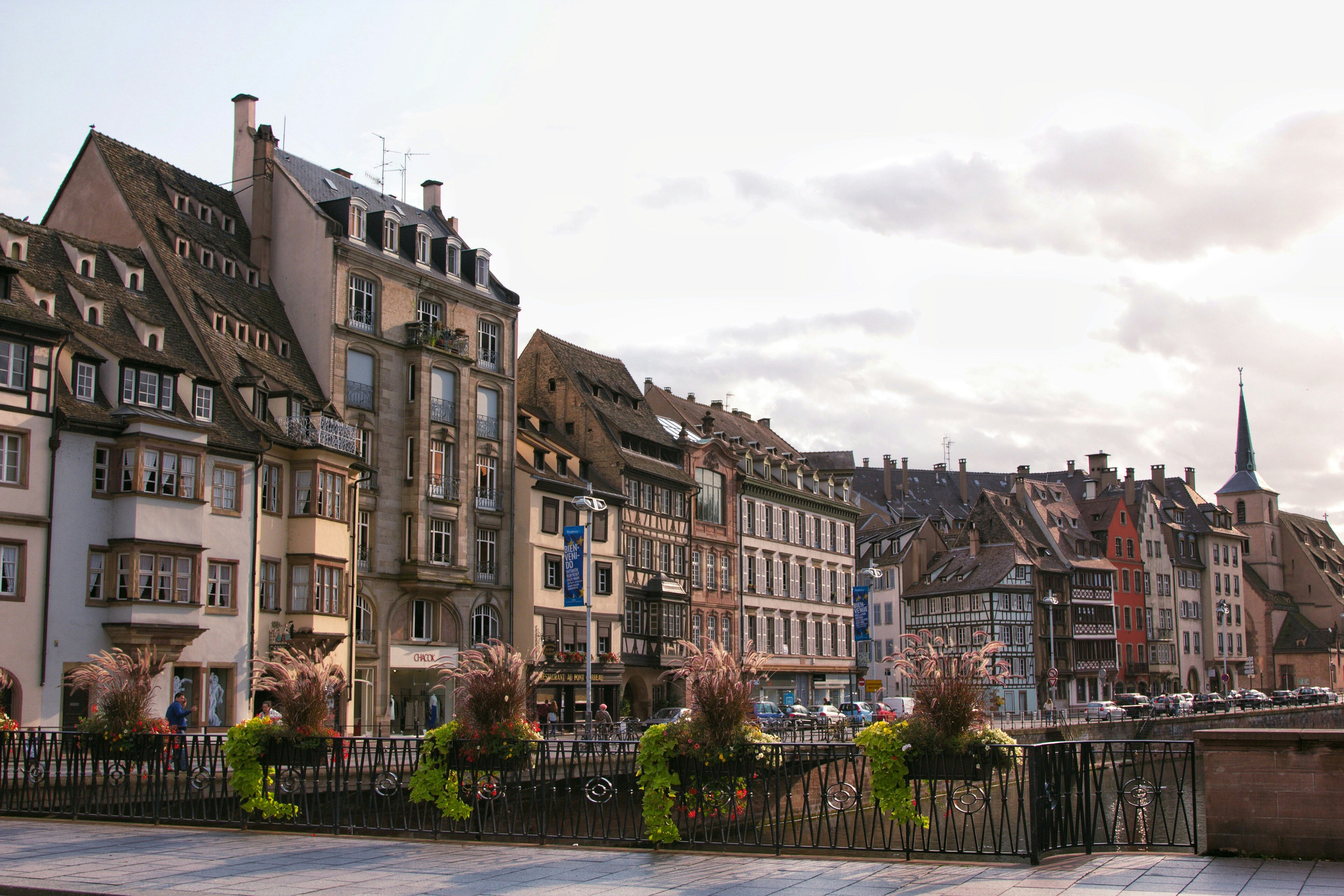 Photo by honeysuckle_phonie