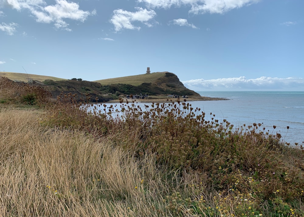 body of water near hill