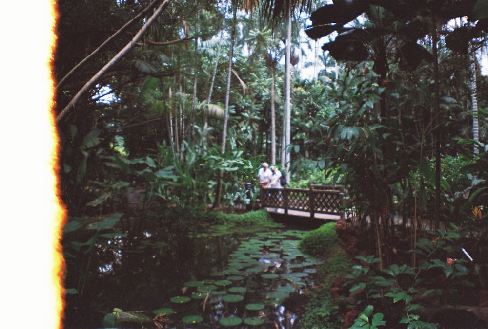 brown footbridge