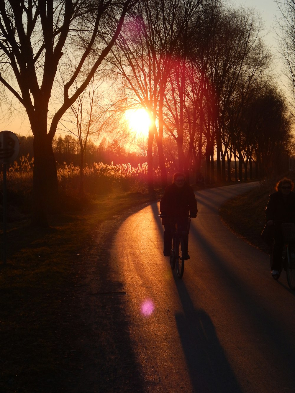 2 Personen fahren Fahrrad während des Sonnenuntergangs