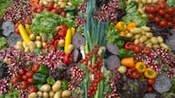 variety of vegetables