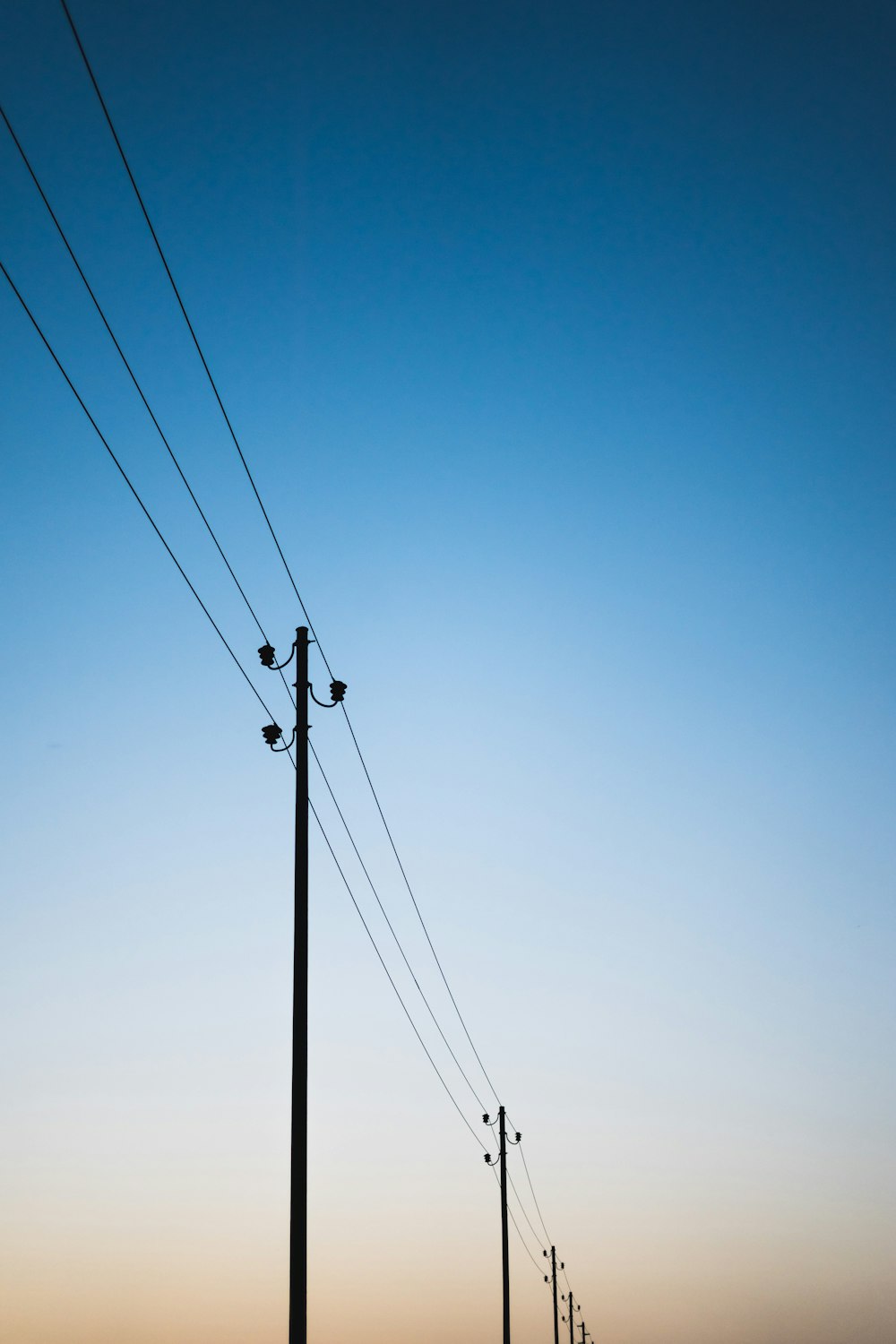 utility posts during golden hour