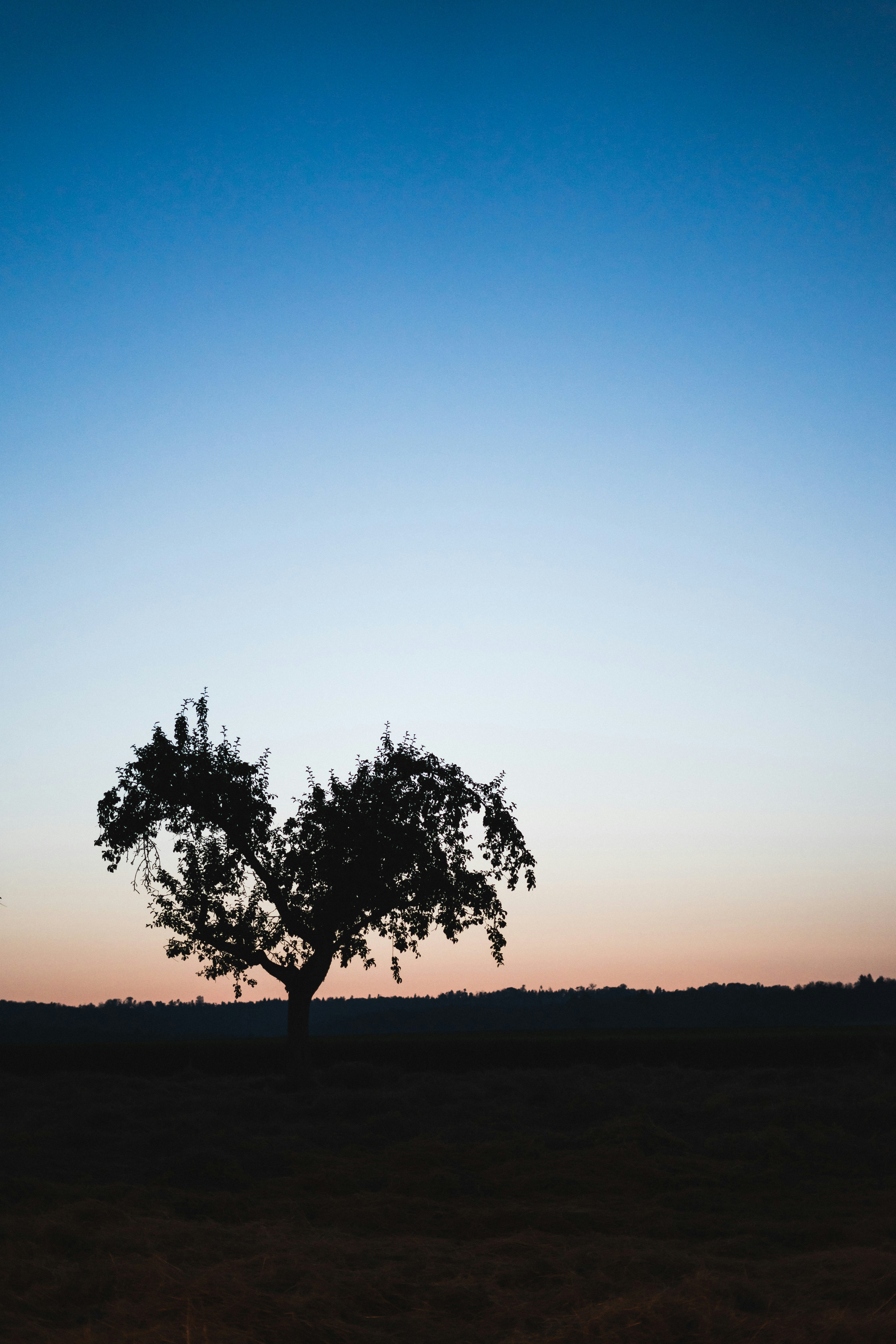 Photo by virussinside