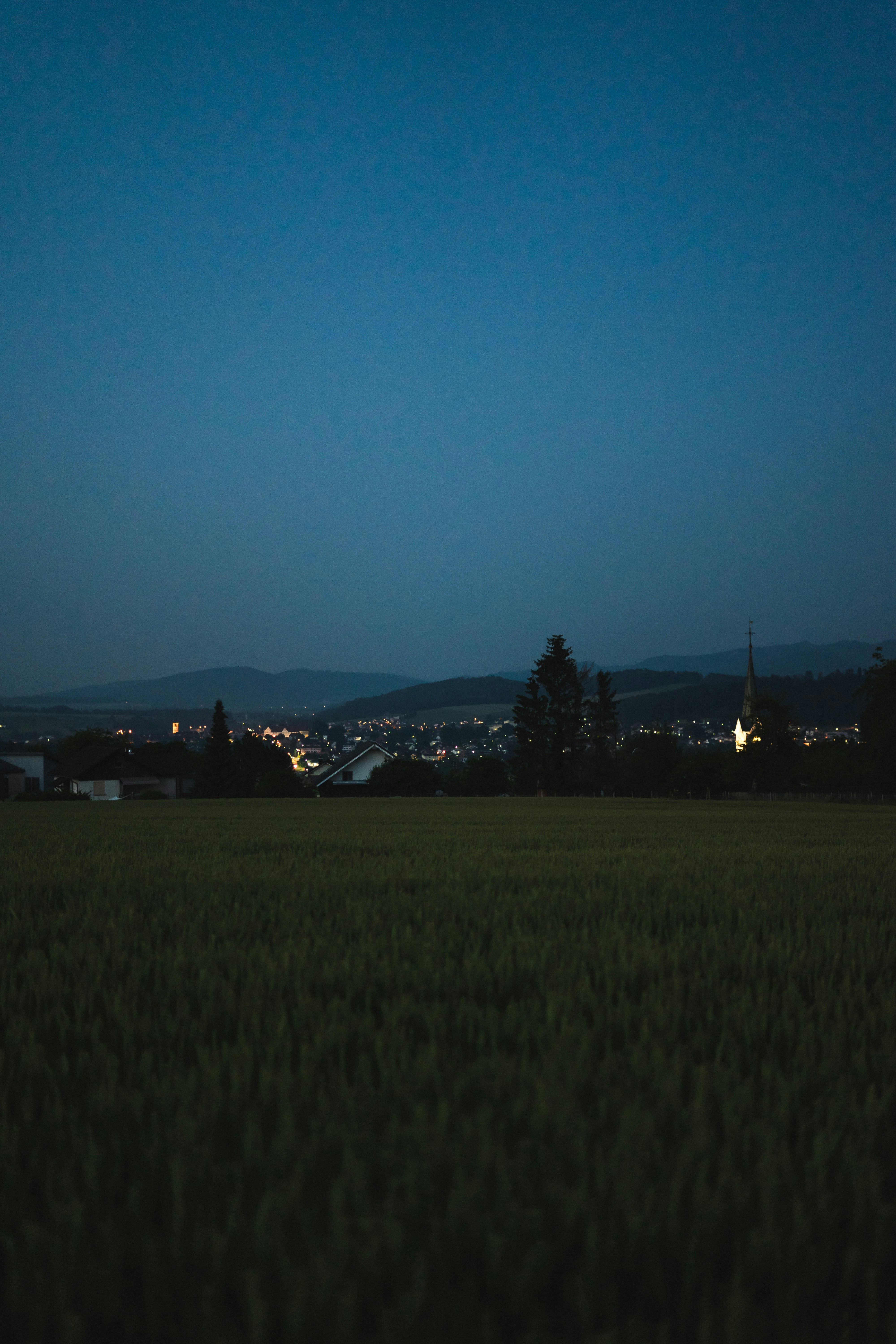 Photo by virussinside