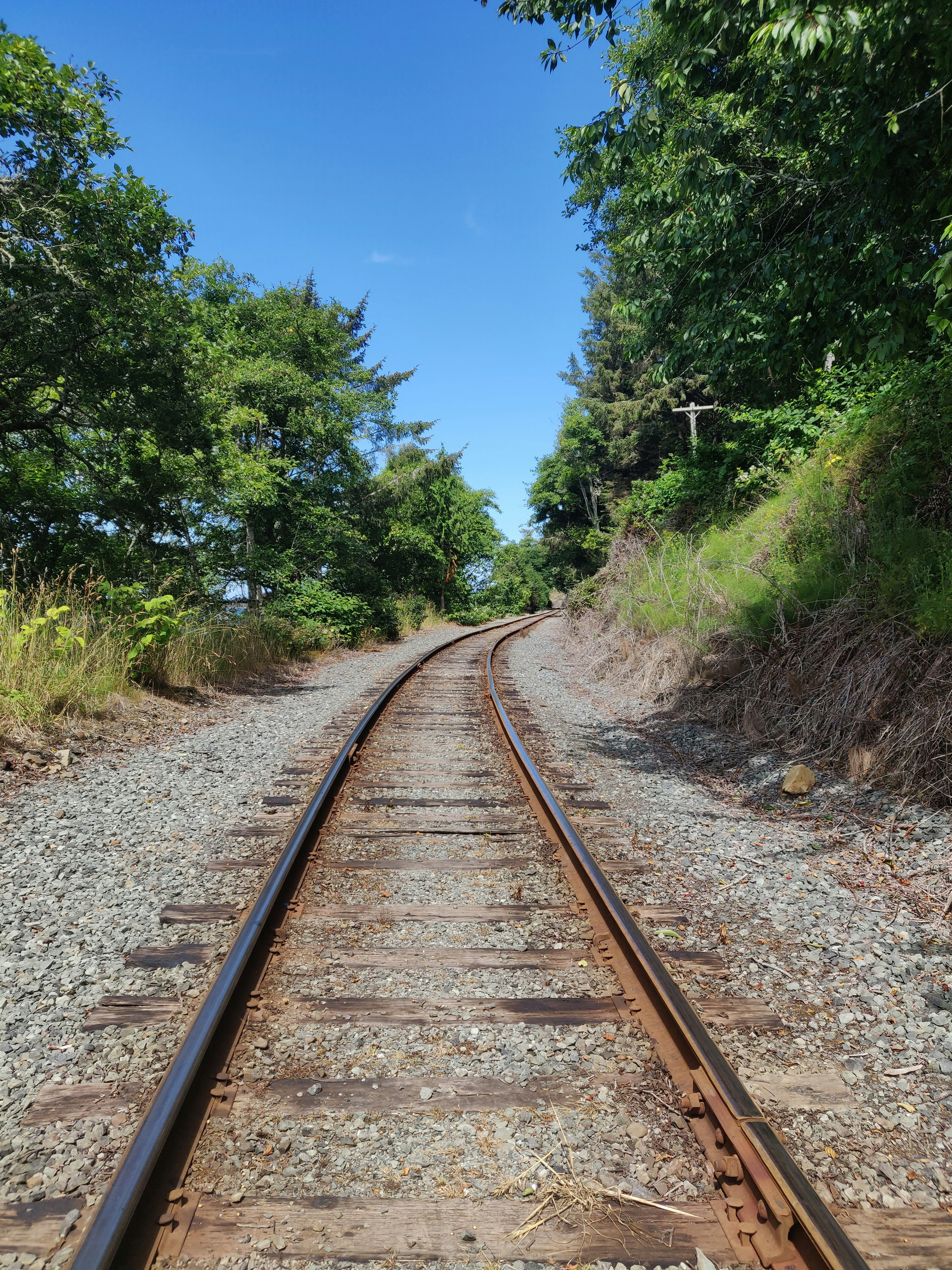 Photo by woutertoday